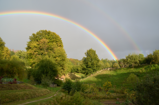 Regenbogen über einer Landschaft mit Bäumen